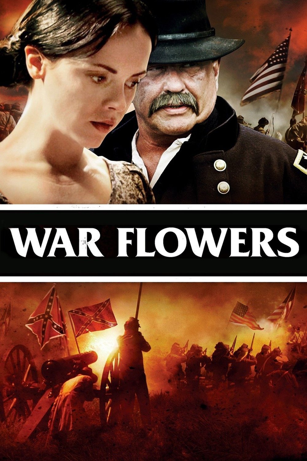War Flowers photo