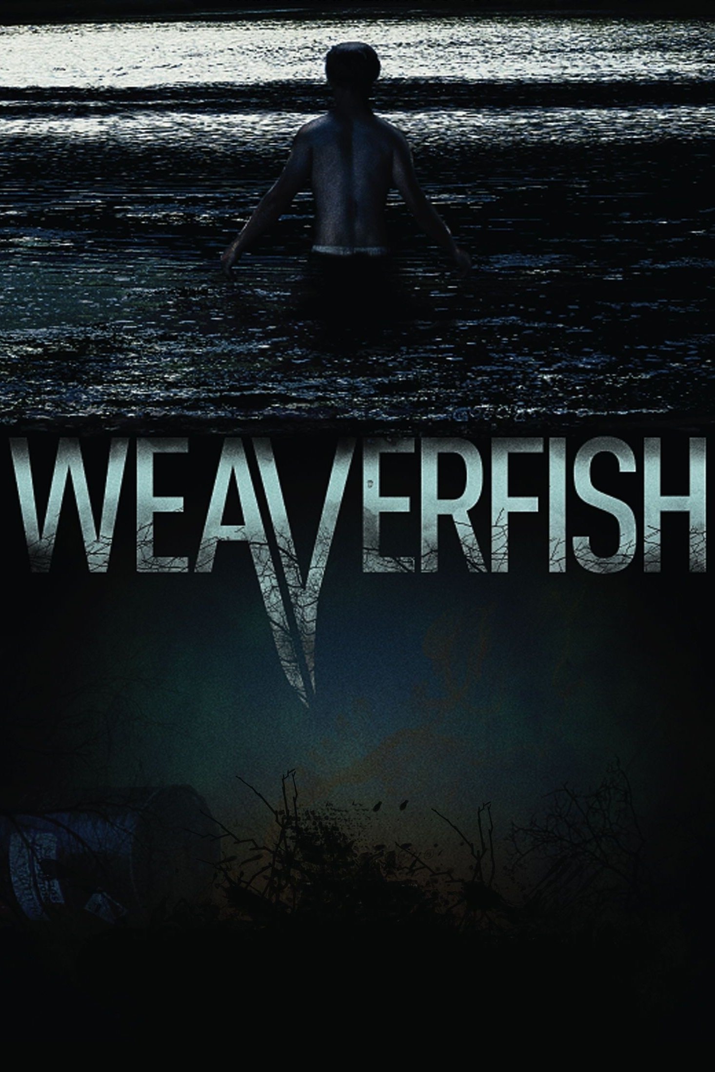 Weaverfish photo