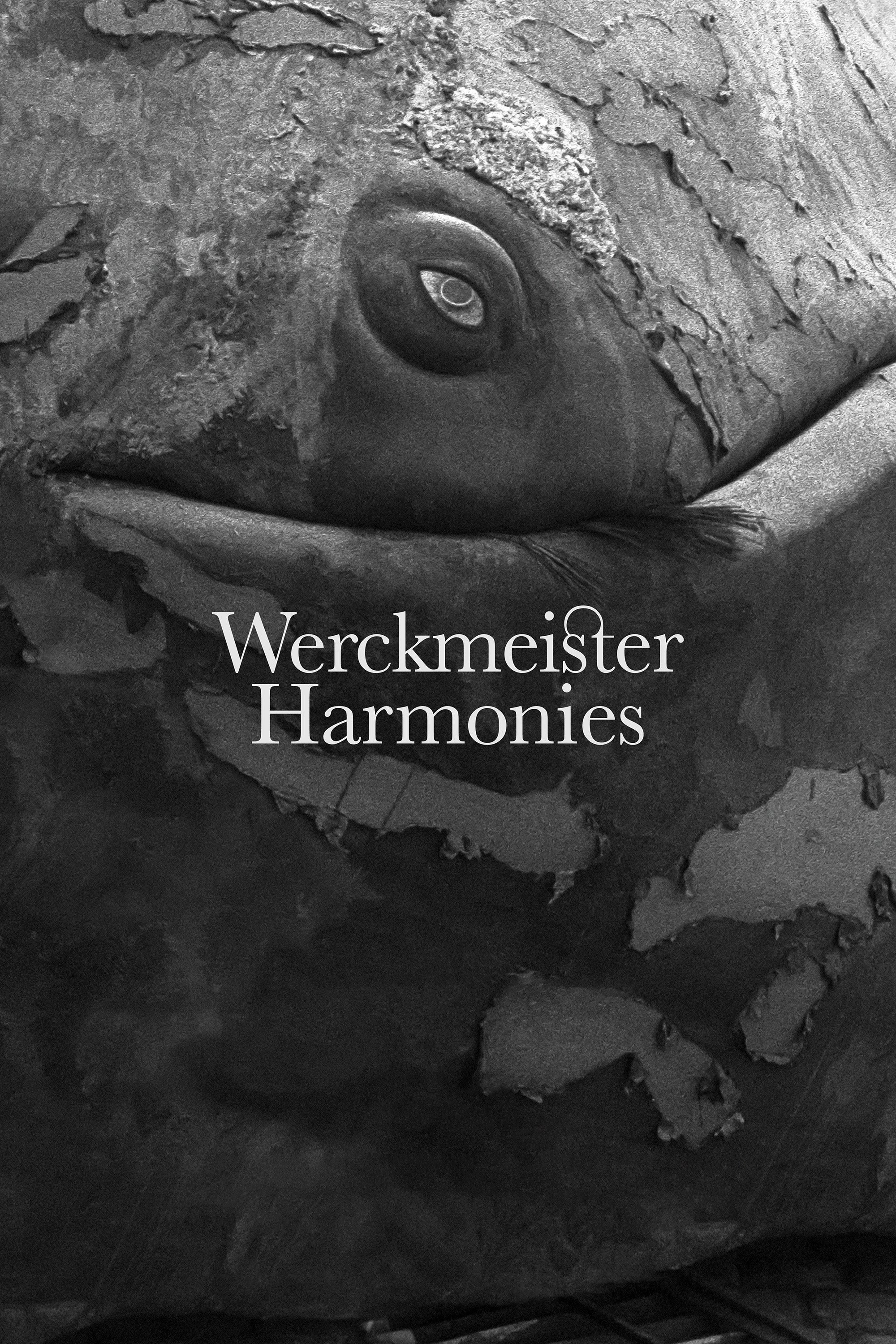 Werckmeister Harmonies photo