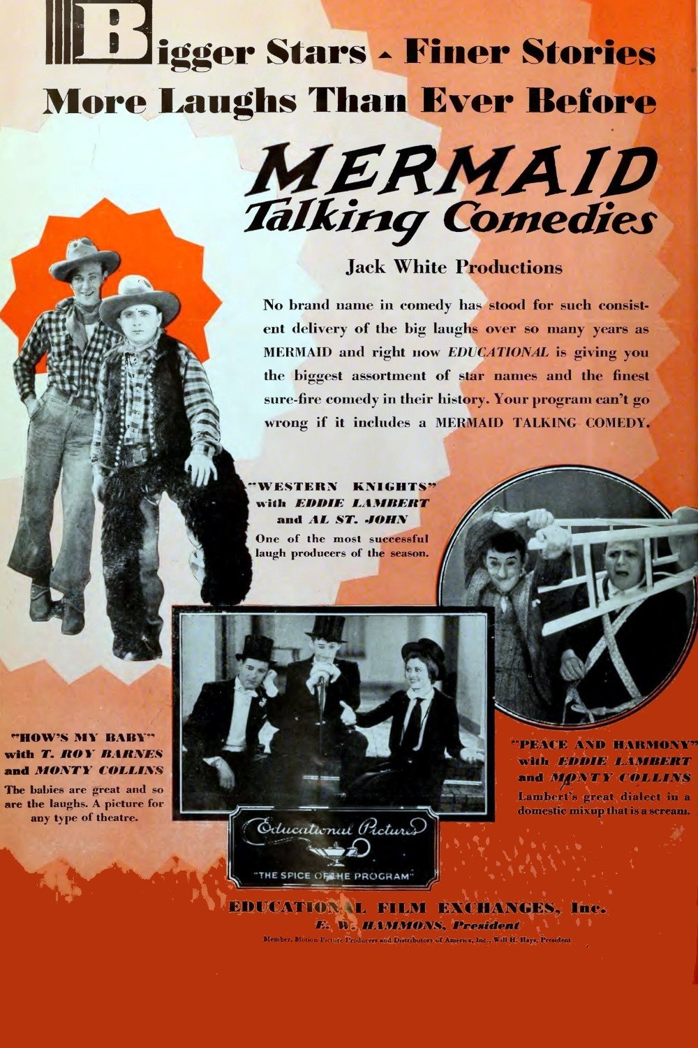 Western Knights photo