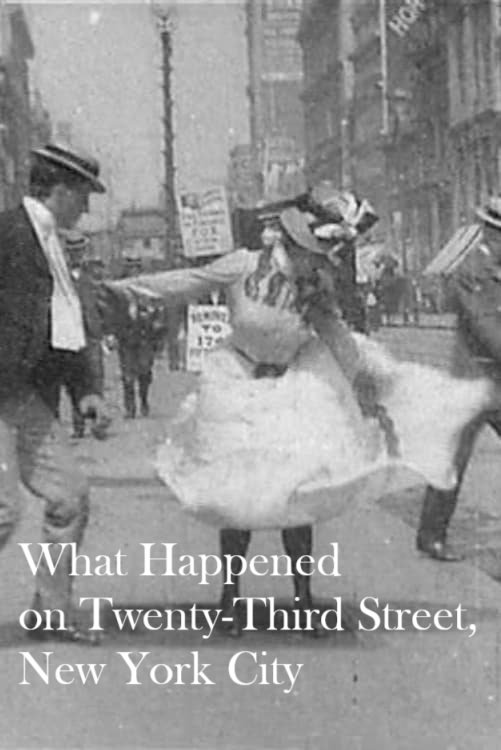 What Happened on Twenty-Third Street, New York City photo