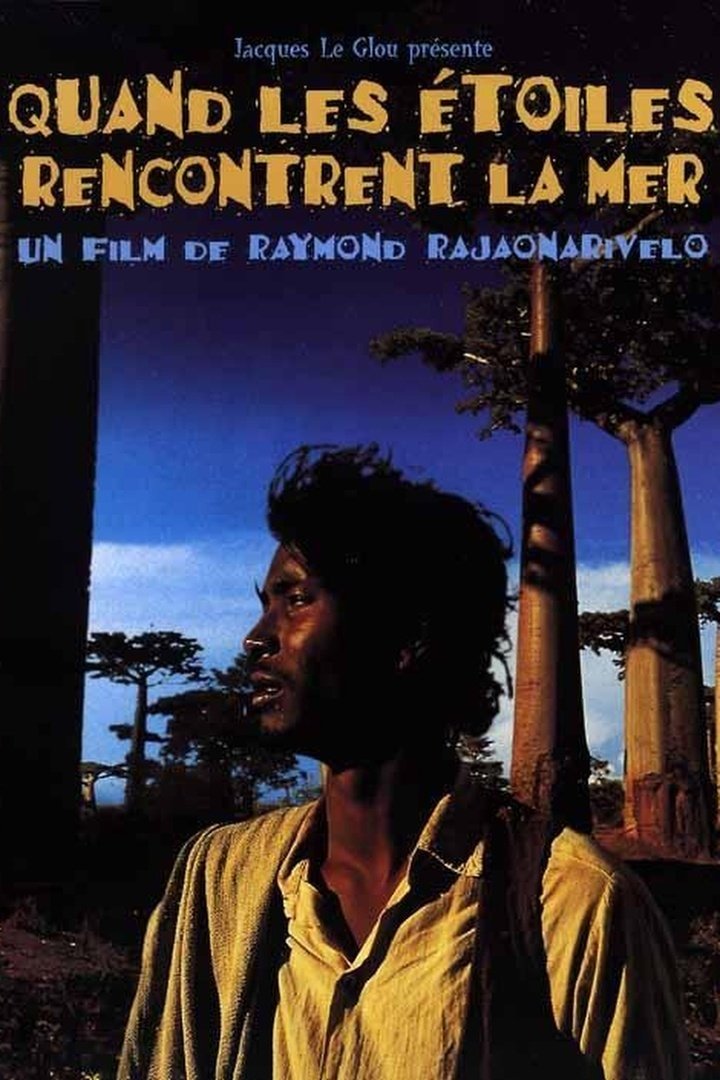 When the Stars Meet the Sea photo