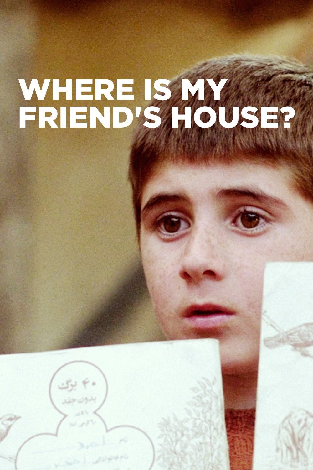 Where Is The Friend's House? photo