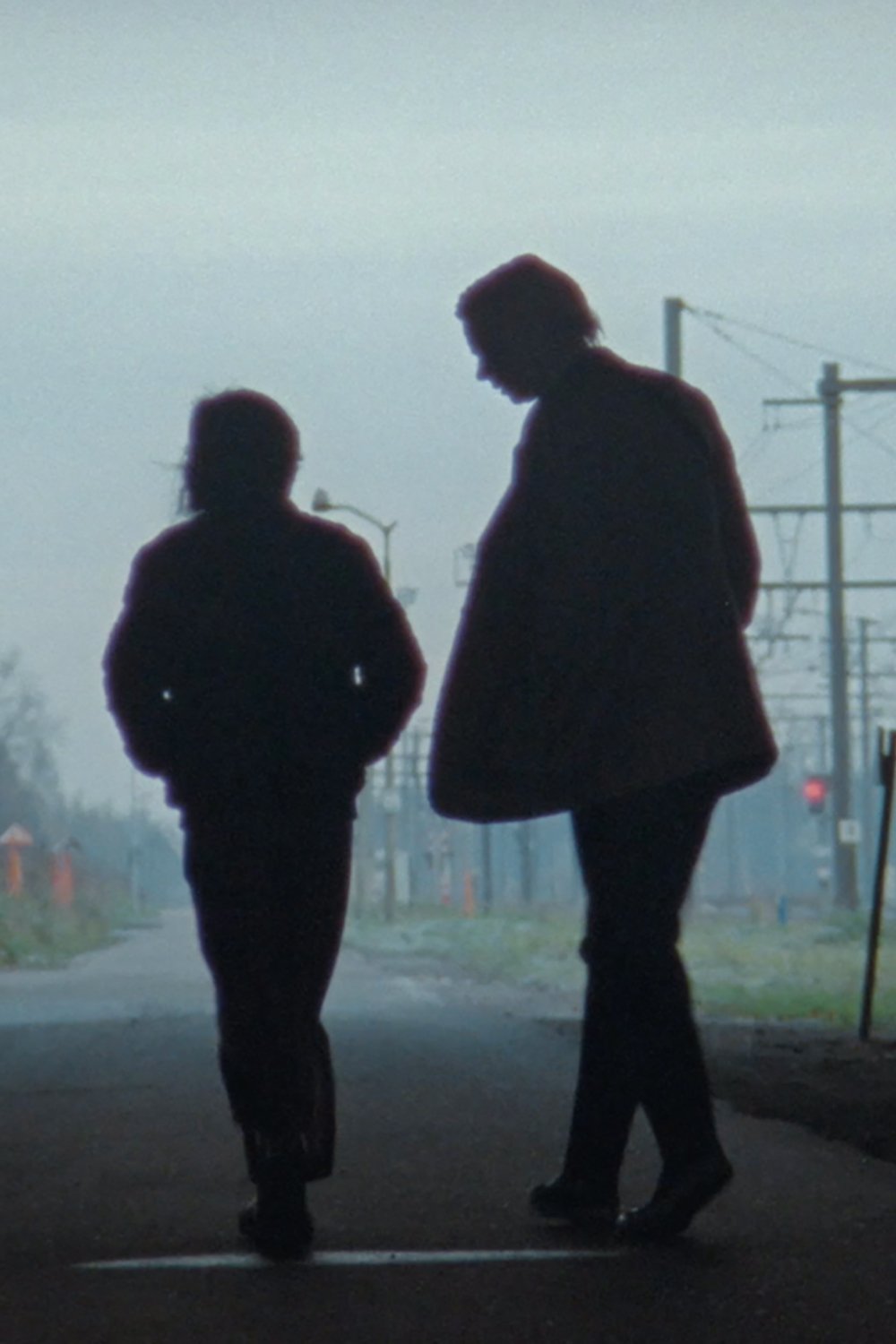 White Goldfish photo