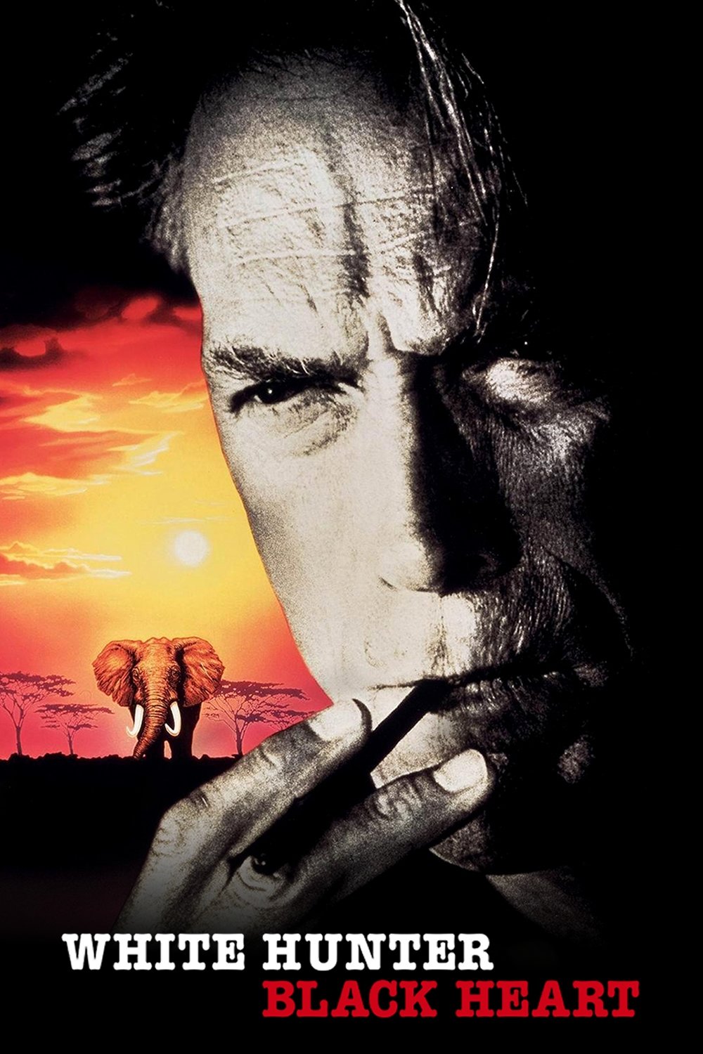 White Hunter, Black Heart photo