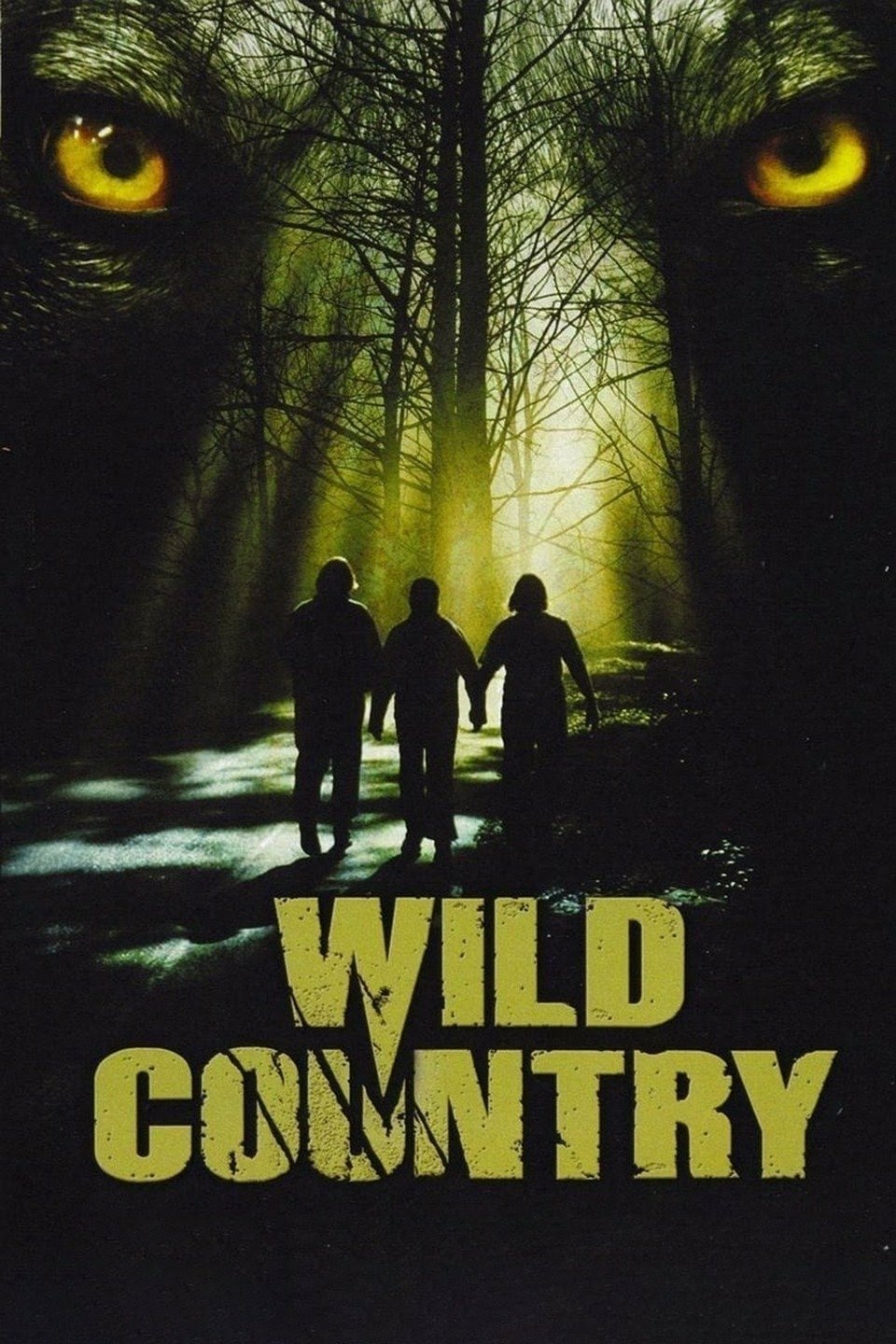 Wild Country photo