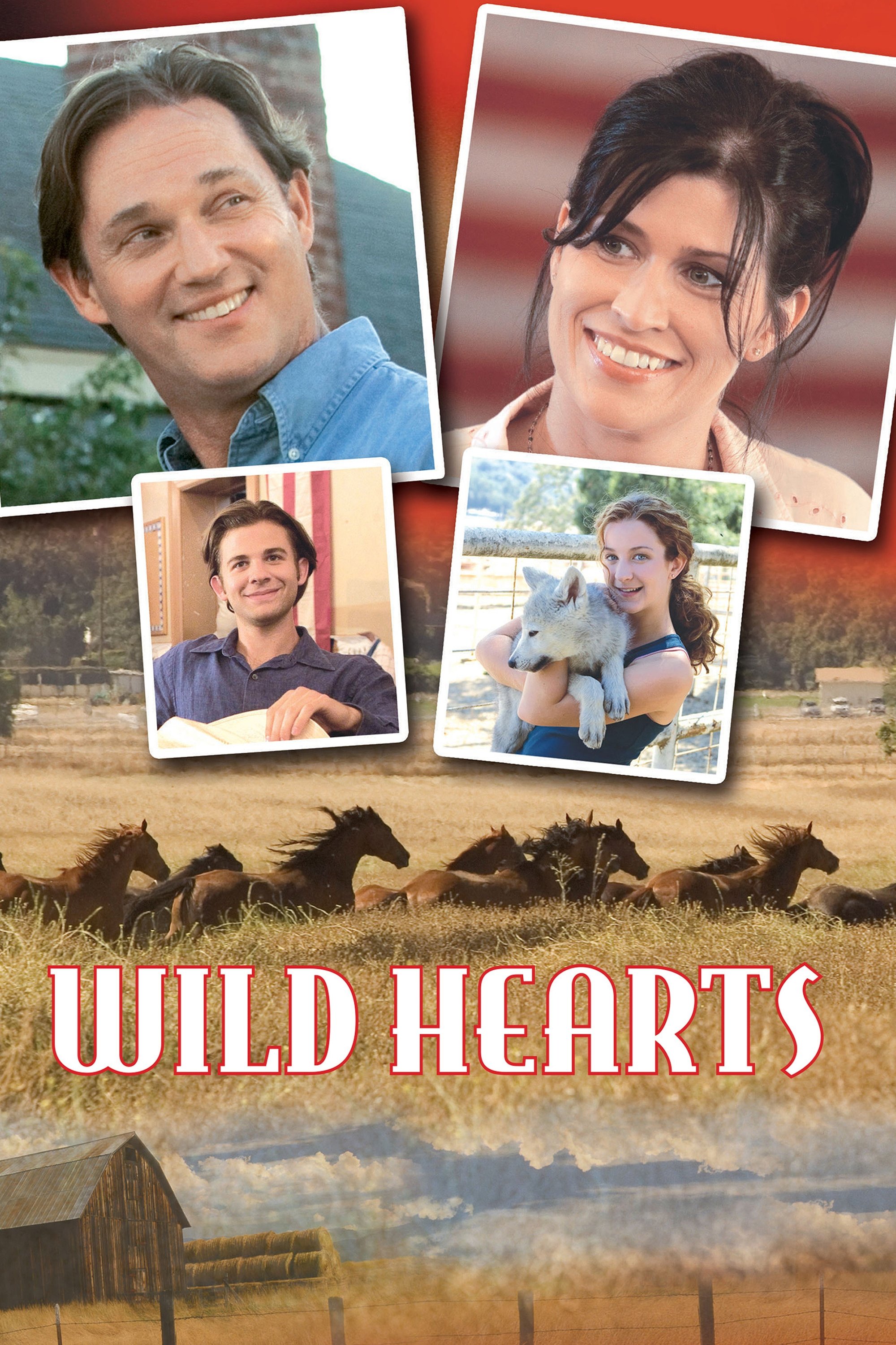 Wild Hearts photo