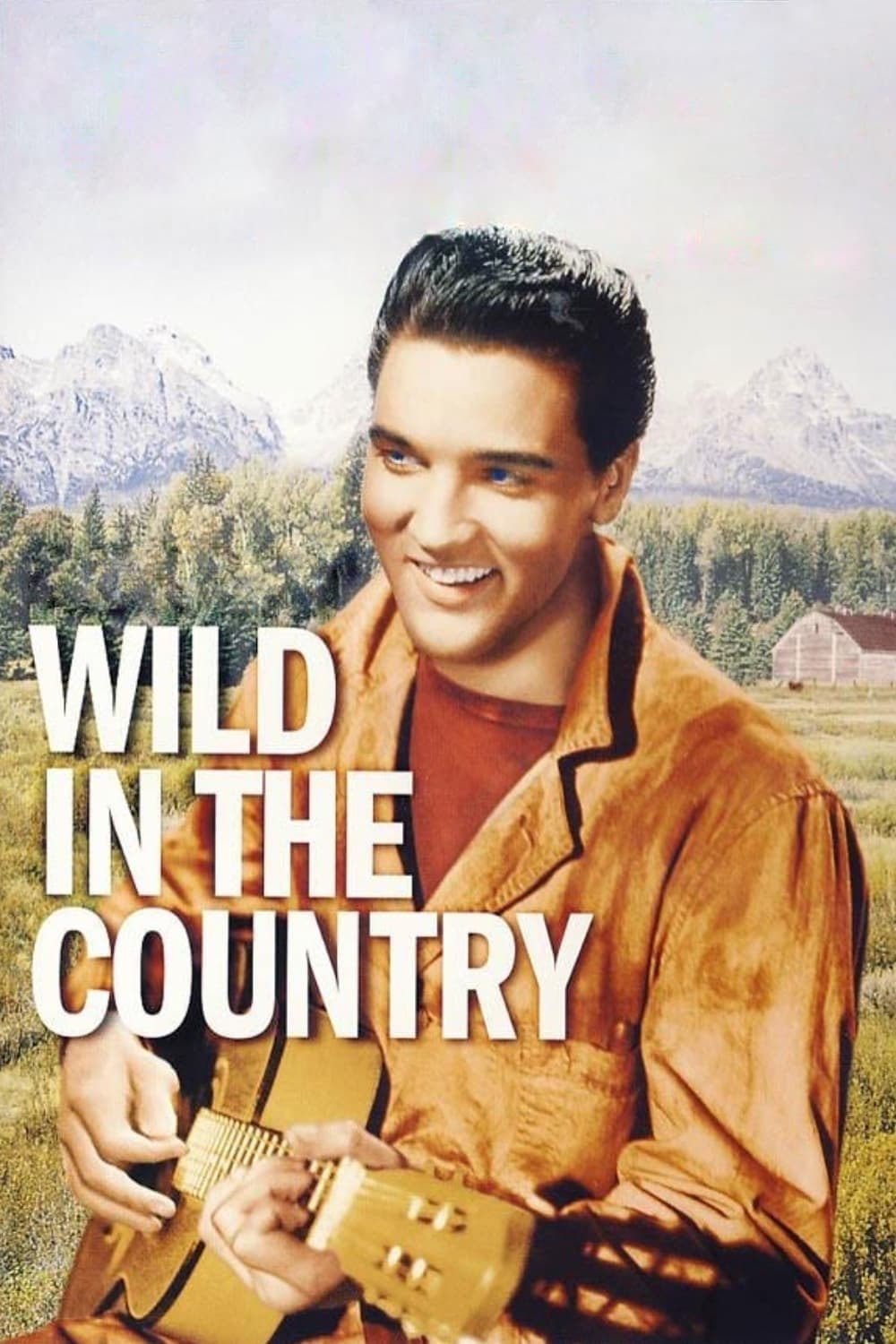Wild in the Country photo