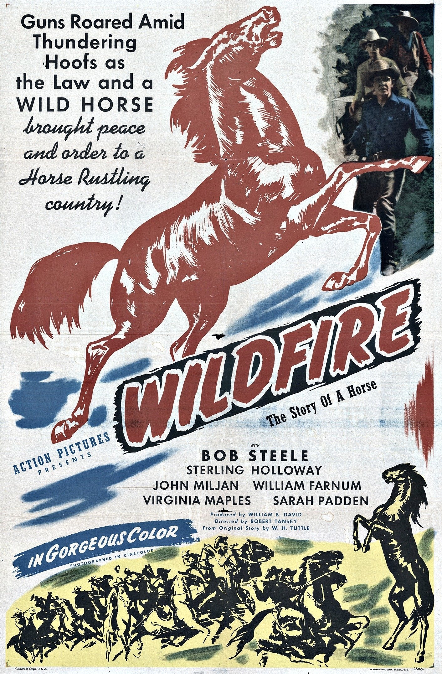 Wildfire photo