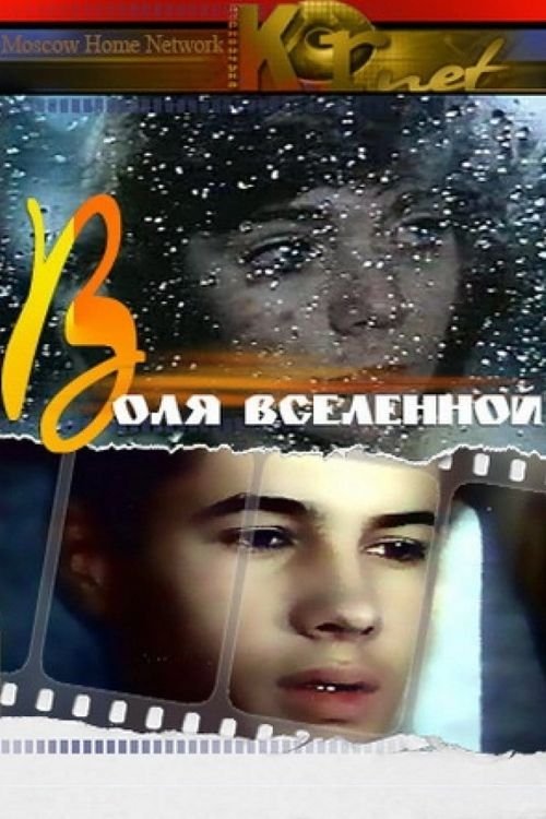 Will of Universe photo