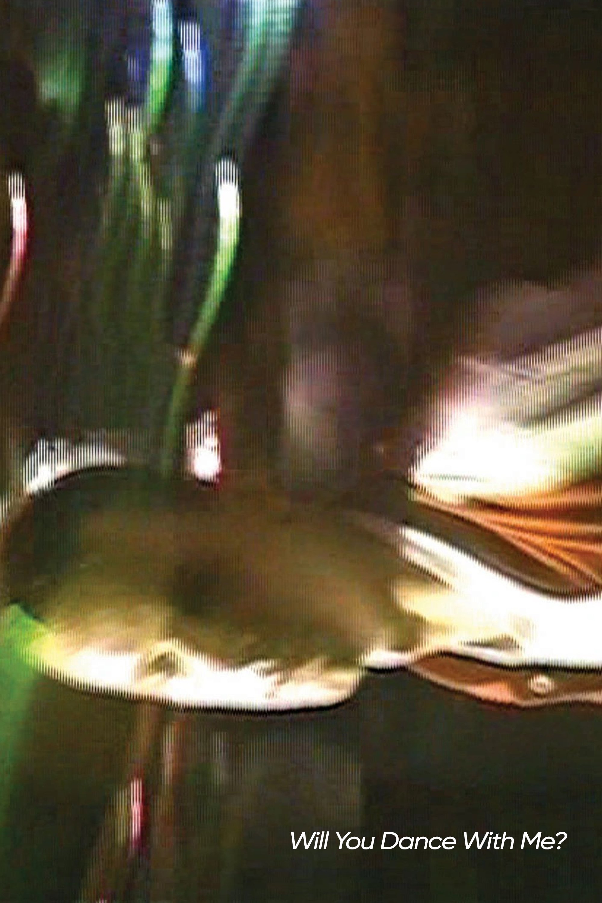 Will You Dance With Me? photo