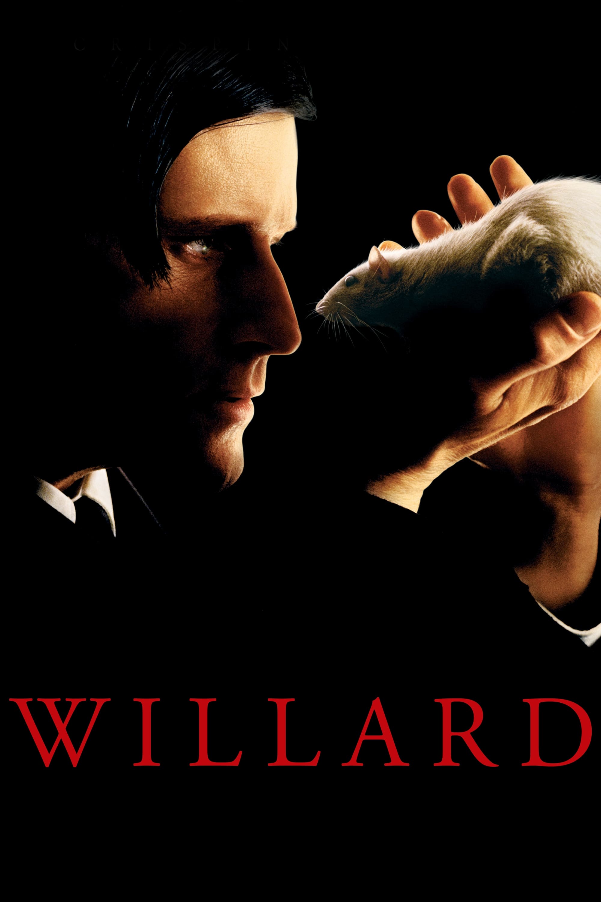 Willard photo