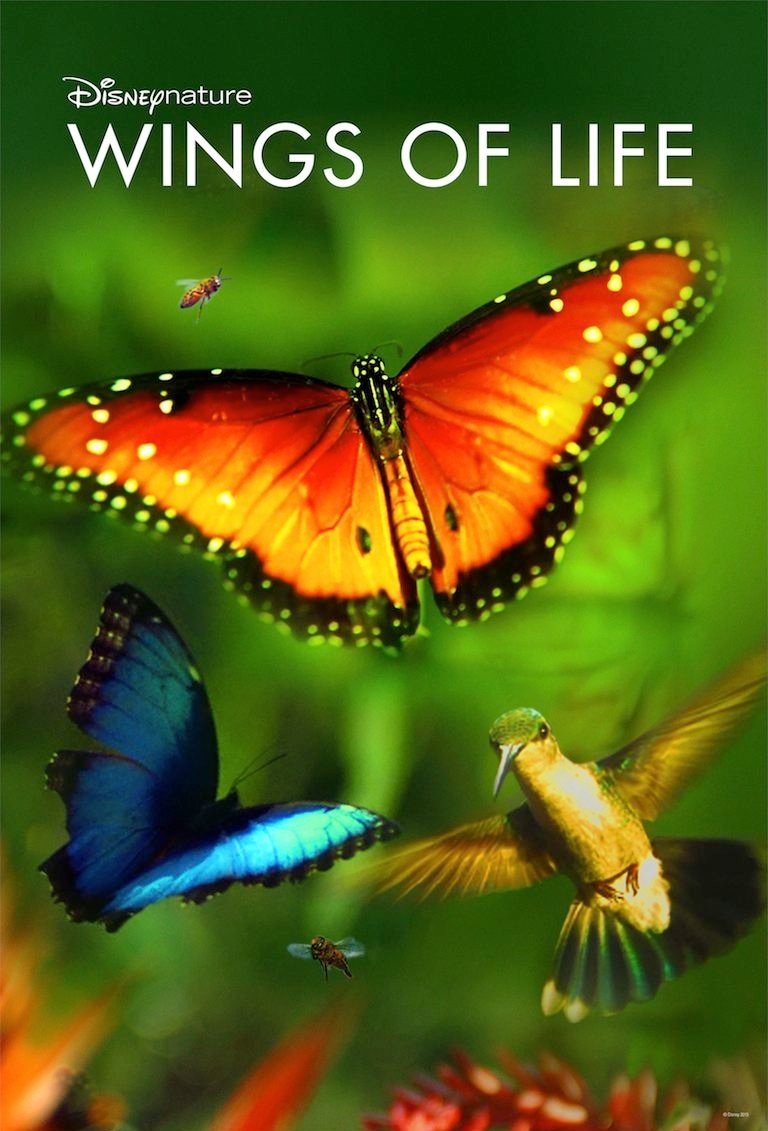 Wings of Life photo