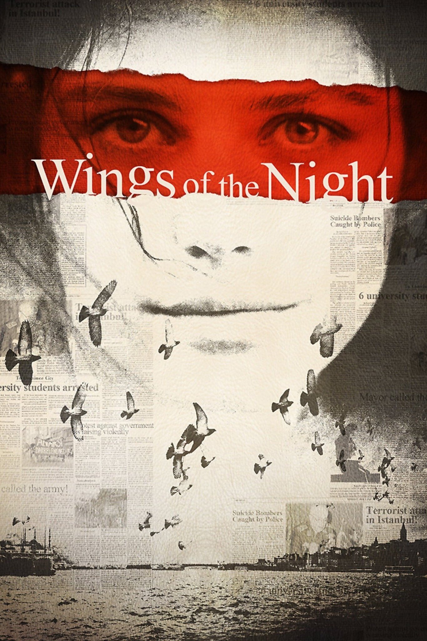 Wings of the Night photo