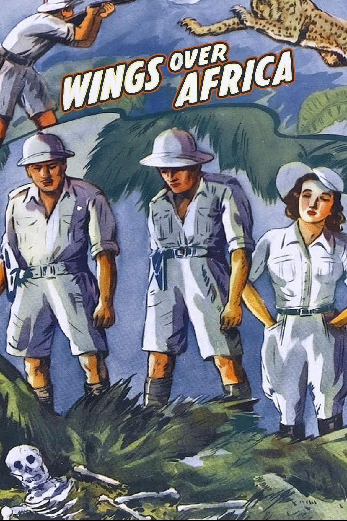 Wings over Africa photo