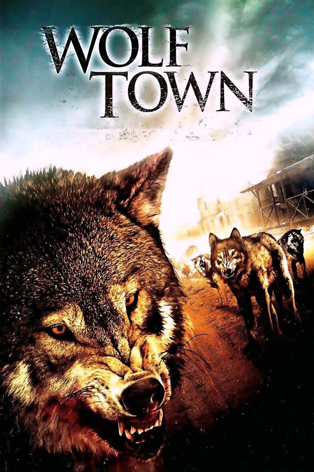Wolf Town photo