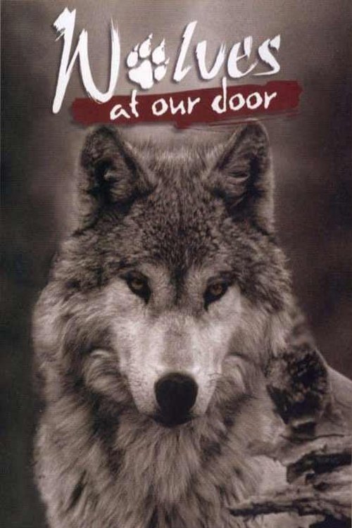 Wolves at Our Door photo