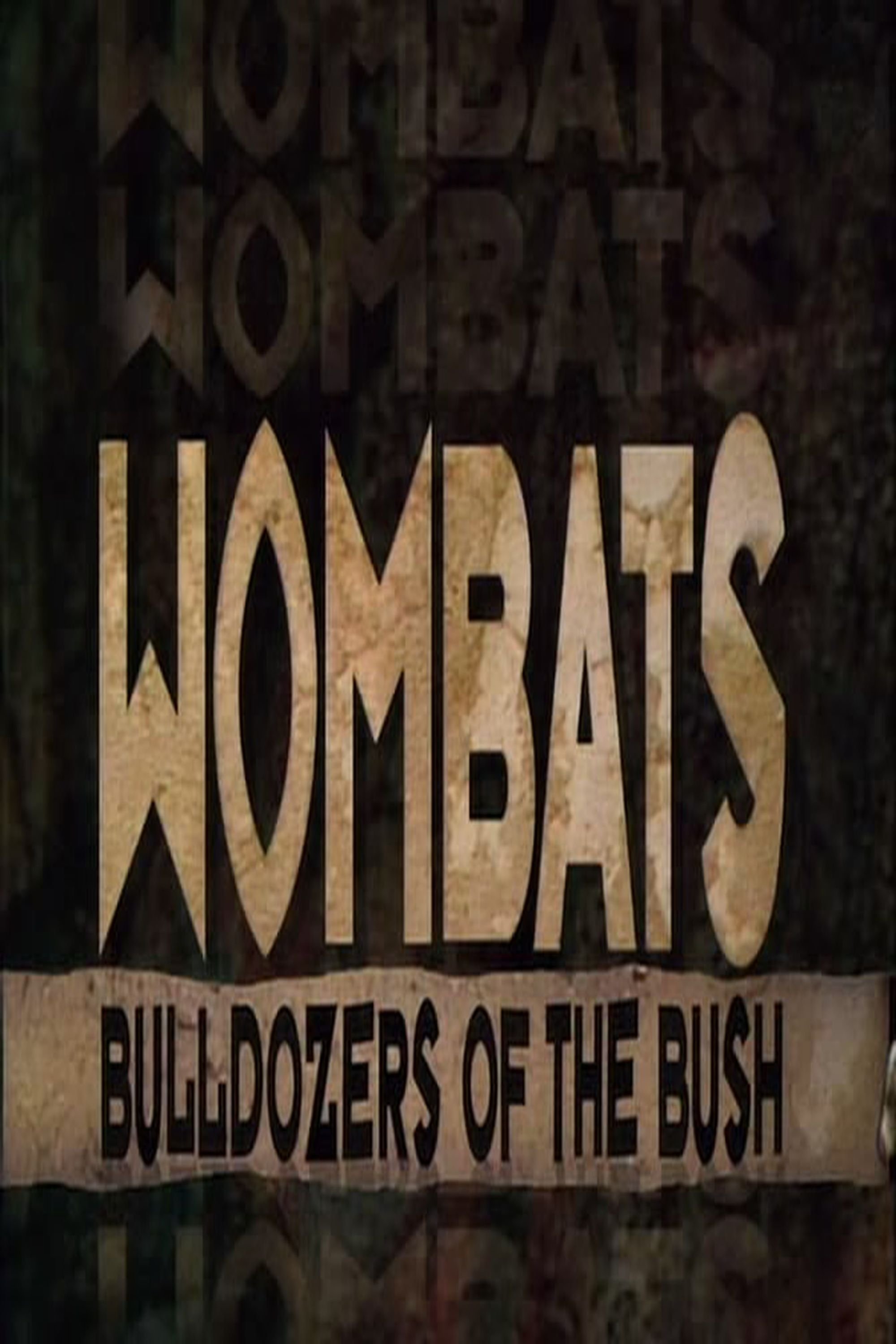 Wombats: Bulldozers Of The Bush photo