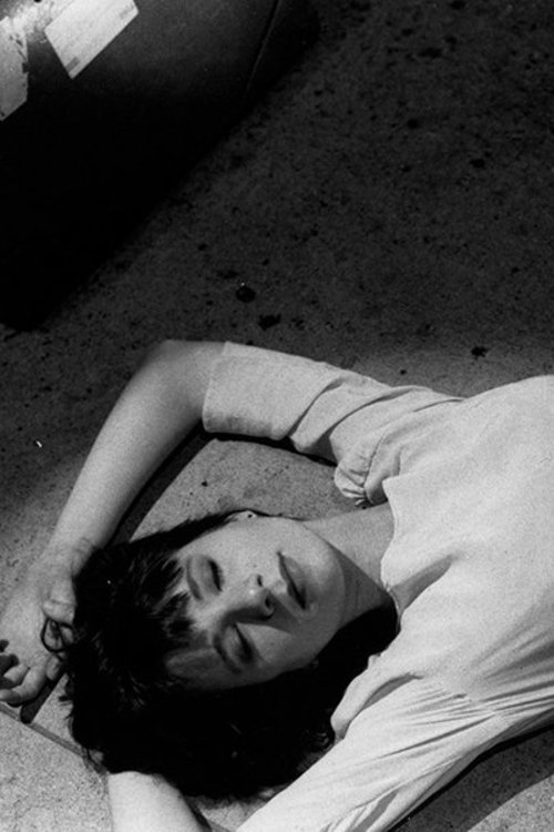 Wonderland USA photo