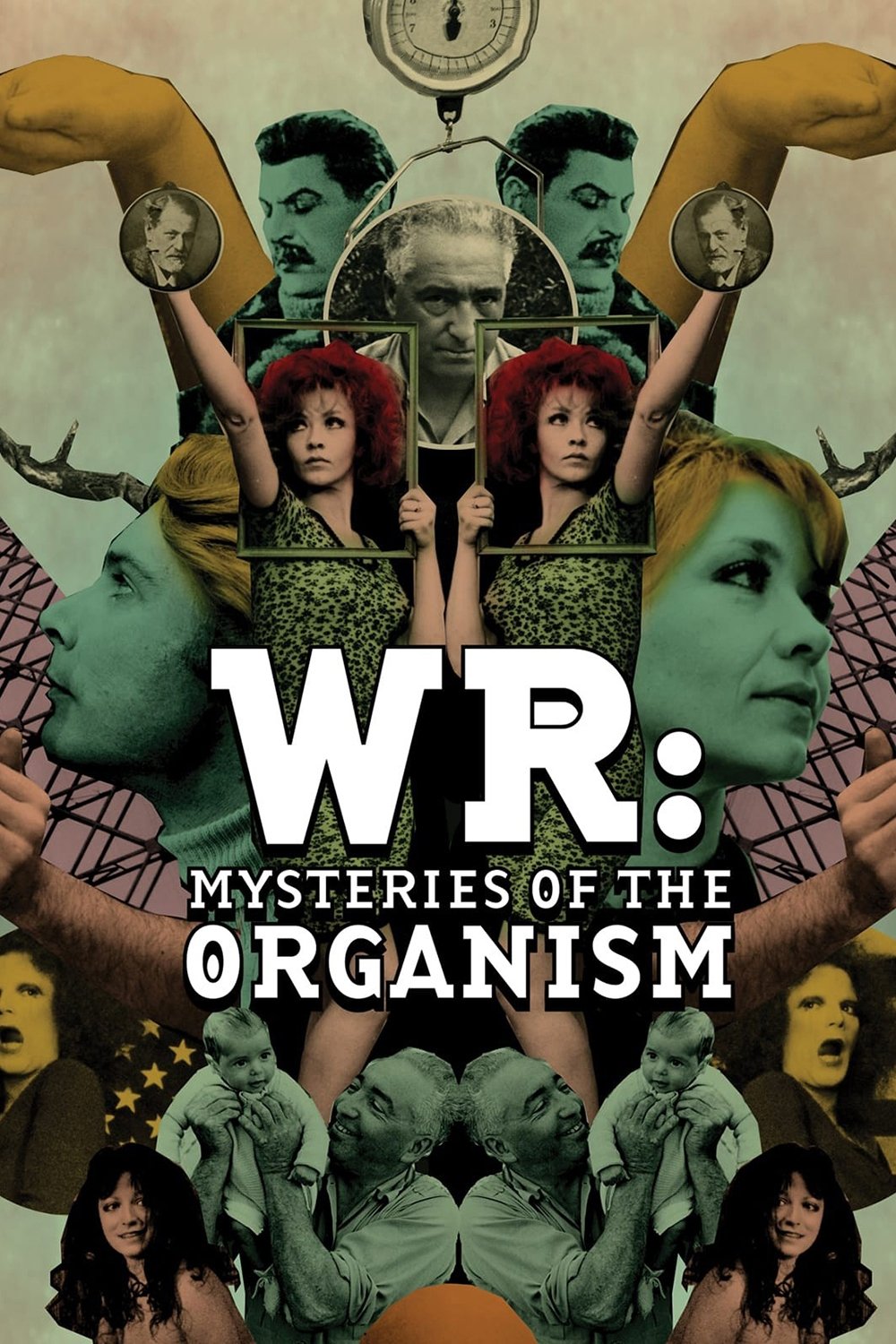 WR: Mysteries of the Organism photo