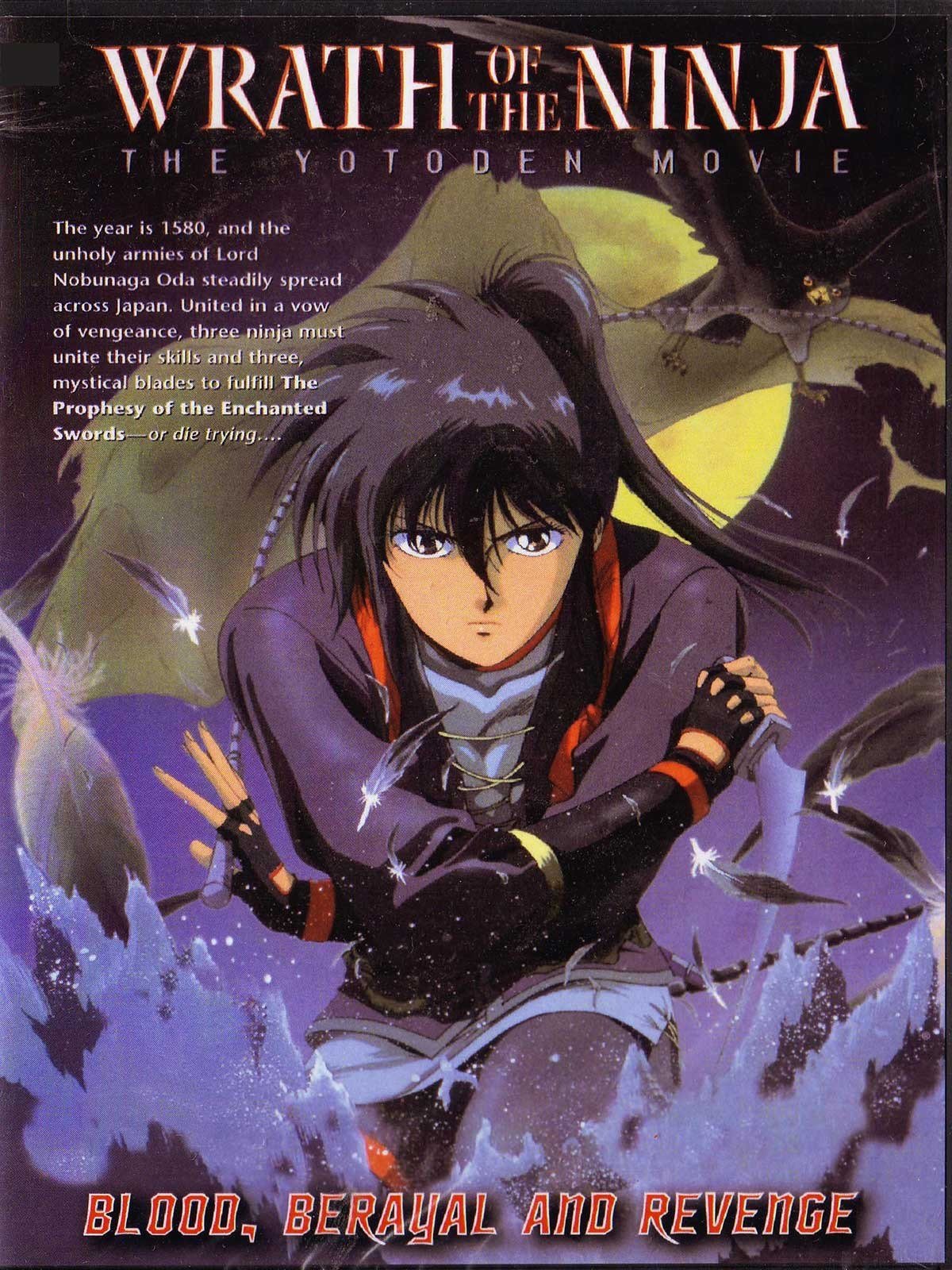Wrath of the Ninja: The Yotoden Movie photo