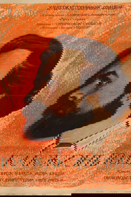 Year as Long as Life photo