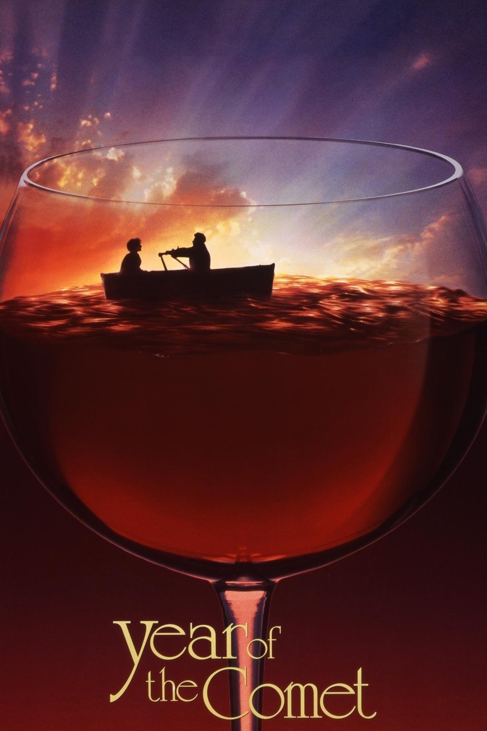 Year of the Comet photo