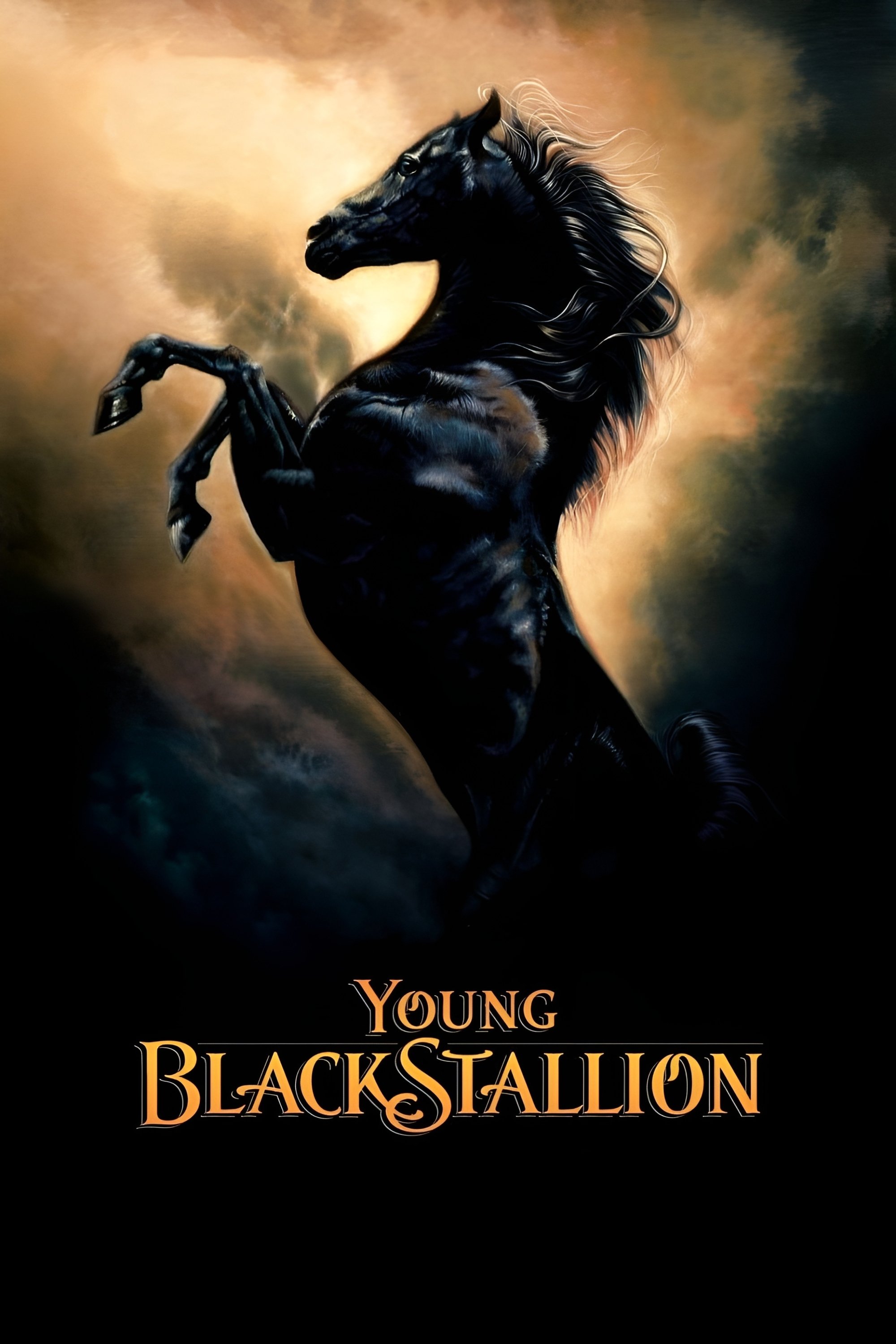 Young Black Stallion photo
