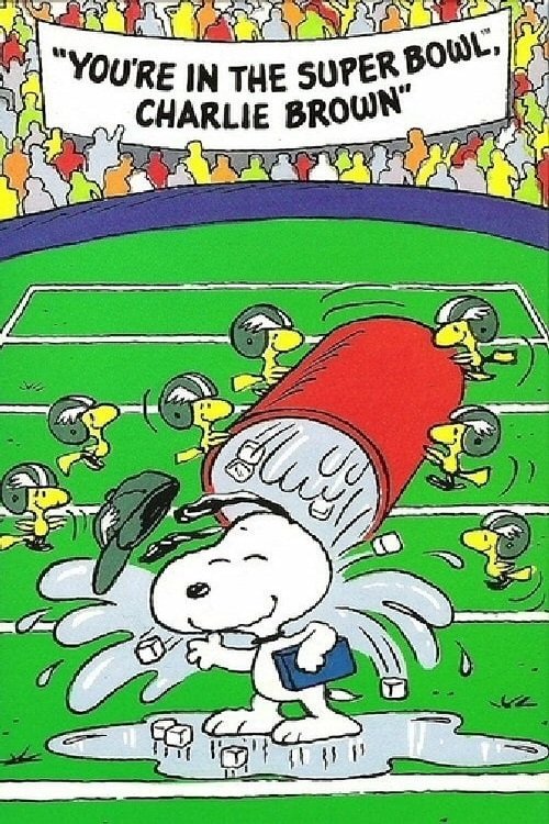 You're in the Super Bowl, Charlie Brown! photo