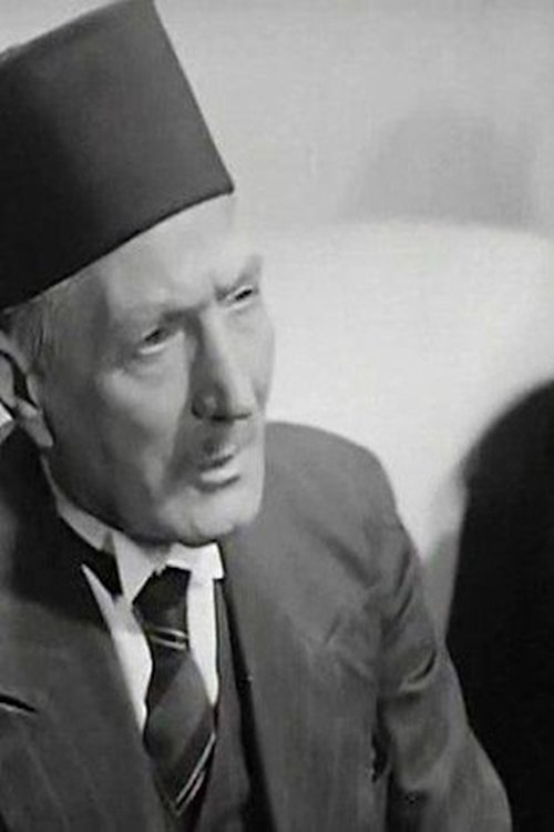 Abdel Meguid Shukry photo