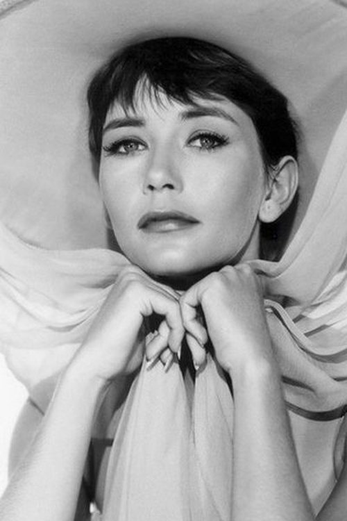 Barbara Bostock photo