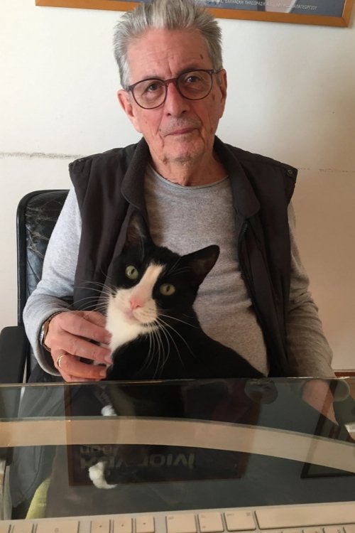 Profile image of Dimitris Stavrakas