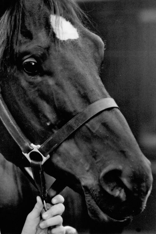 Docs Keepin Time photo