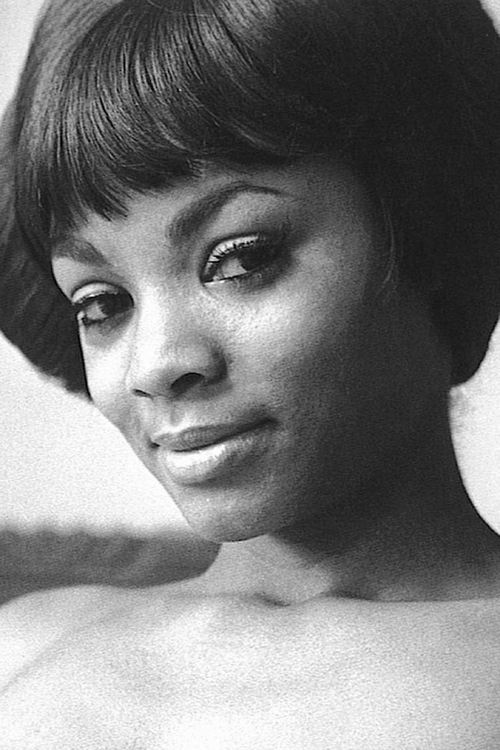 Elaine Collins photo