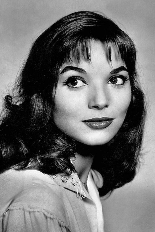 Elsa Martinelli photo