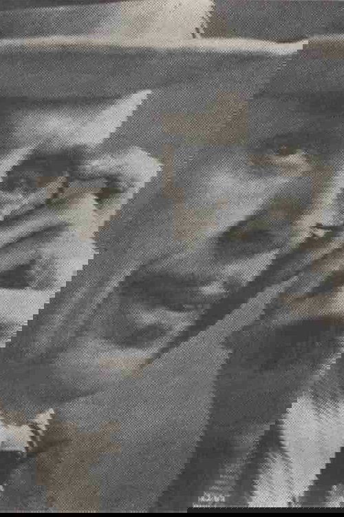 George Grossmith photo