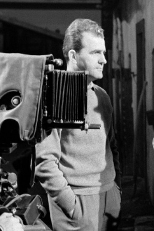 Profile image of Gyula Mészáros