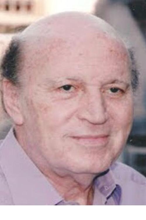 Hassan Abdel Hamid photo