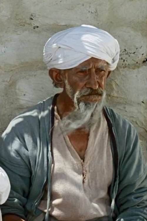 Irakli Nijaradze photo