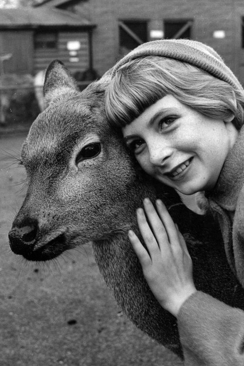 Jacqueline Ryan photo