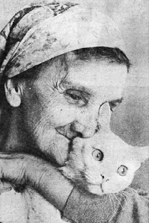 Jovanka Kotlajić photo