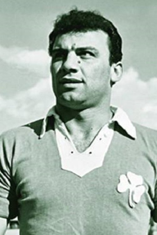 Kostas Linoxilakis photo