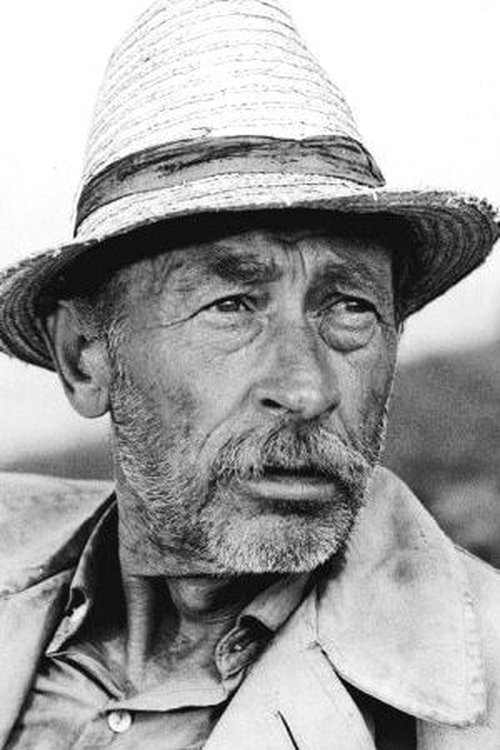 László Bánhidy photo