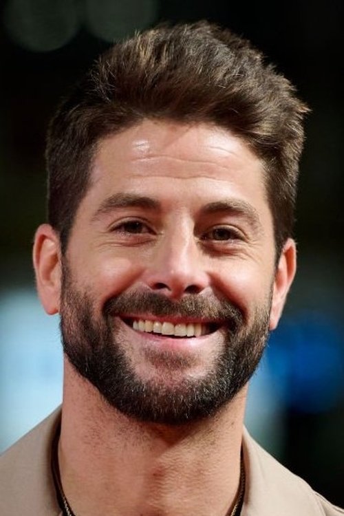 Luis Fernández photo