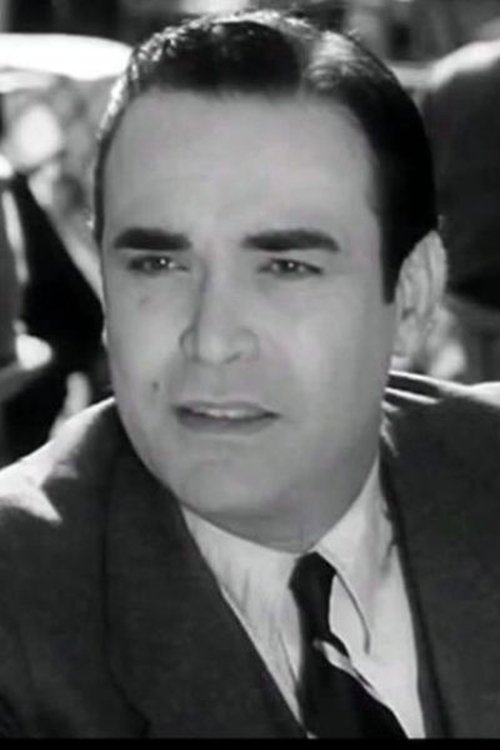 Profile image of Mahmoud Zulfiqar