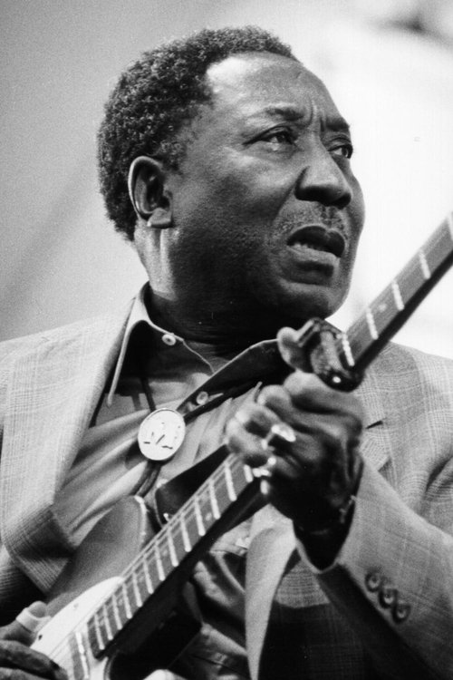 Muddy Waters photo
