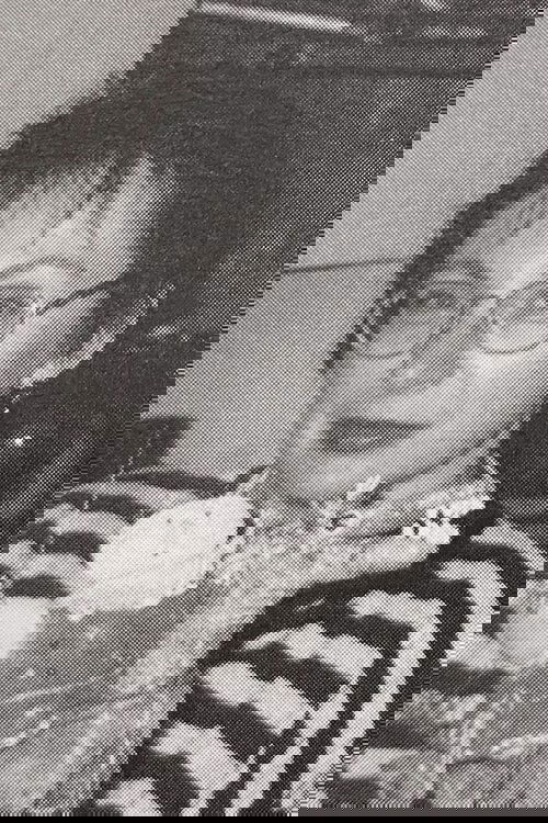 Profile image of Natalia Marchenkova