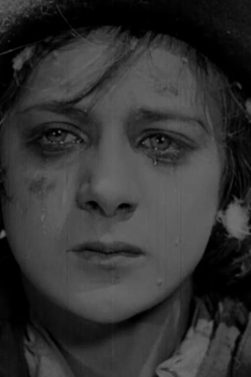 Nicolas Roudenko photo