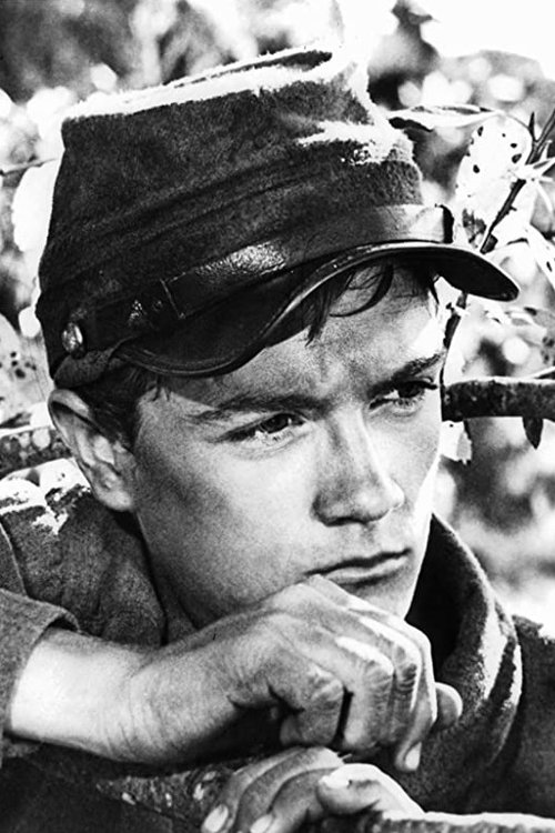 Phillip Alford photo