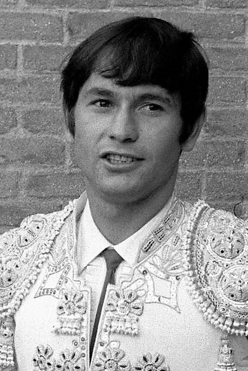 Sebastián Palomo Linares photo